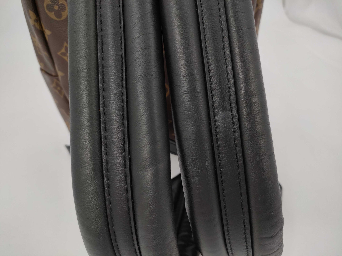 LOUIS VUITTON LOUIS VUITTON Monogram Palm Springs Backpack