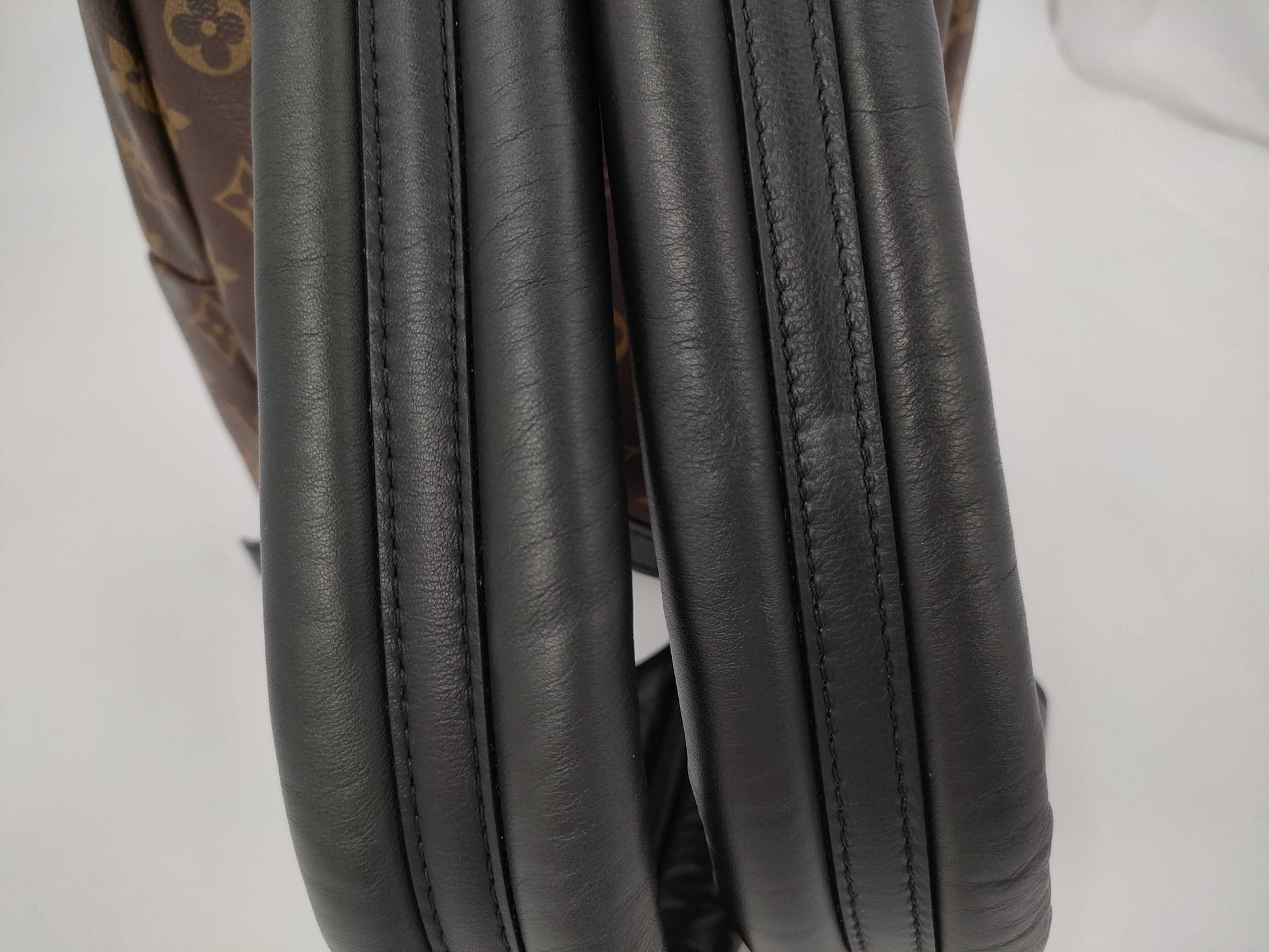 LOUIS VUITTON LOUIS VUITTON Monogram Palm Springs Backpack