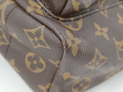 LOUIS VUITTON LOUIS VUITTON Monogram Palm Springs Backpack