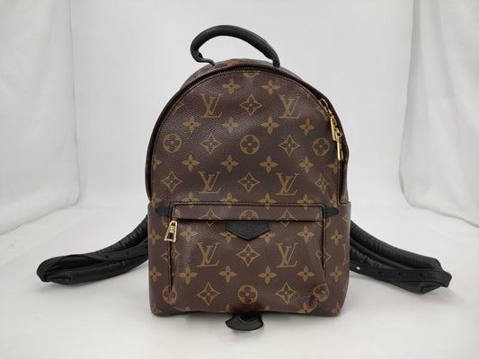LOUIS VUITTON LOUIS VUITTON Monogram Palm Springs Backpack