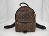 LOUIS VUITTON LOUIS VUITTON Monogram Palm Springs Backpack