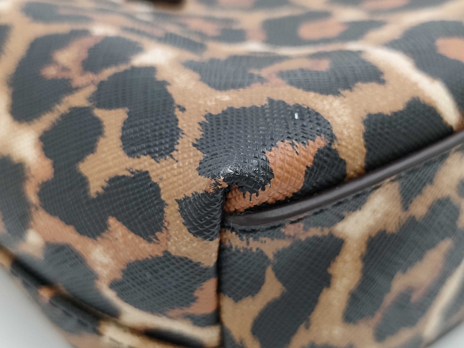 COACH Leopard Print Tote Bag