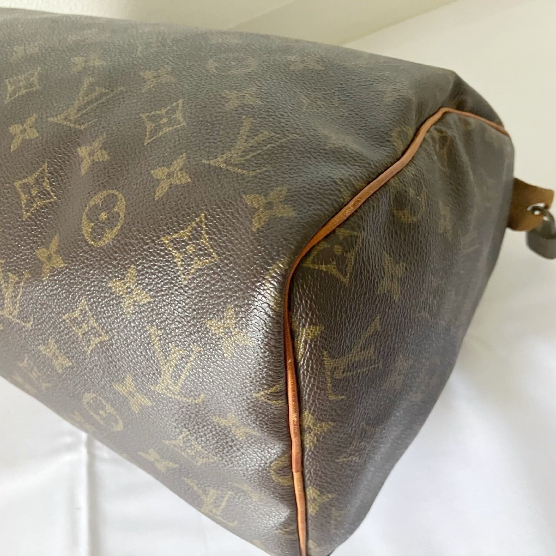 LOUIS VUITTON LOUIS VUITTON Monogram Speedy 30 Handbag