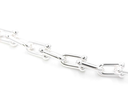 Tiffany & Co. Tiffany HardWear Graduated Link Necklace in Sterling Silver