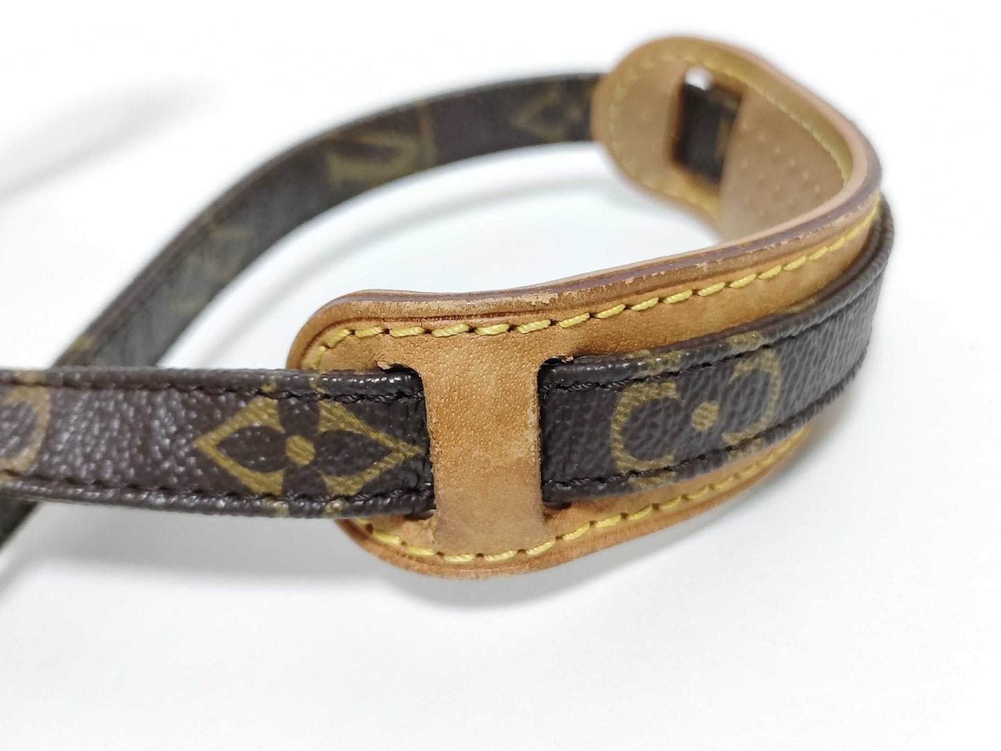 LOUIS VUITTON Monogram Louis VuittonLOUIS VUITTON Mini Amazon Monogram Shoulder Bag