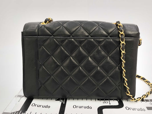 CHANEL Diana 25 Lambskin Shoulder Bag, No. 4