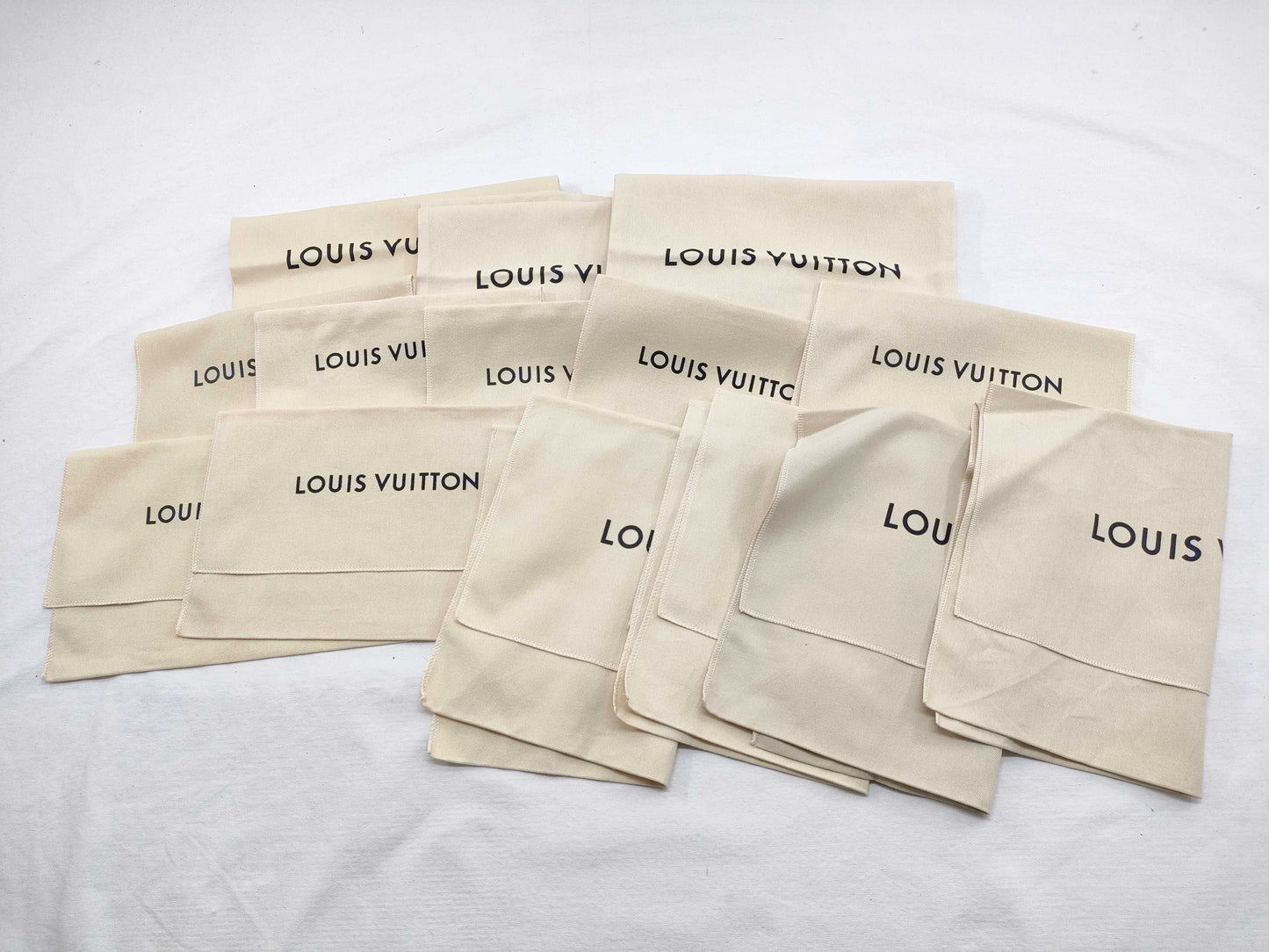 LOUIS VUITTON Current Storage Bag 