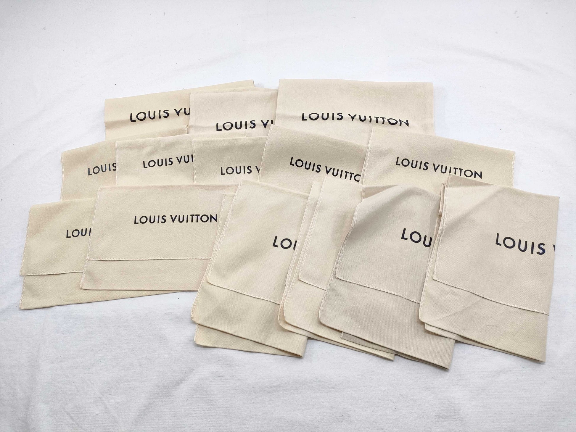 LOUIS VUITTON Current Storage Bag 