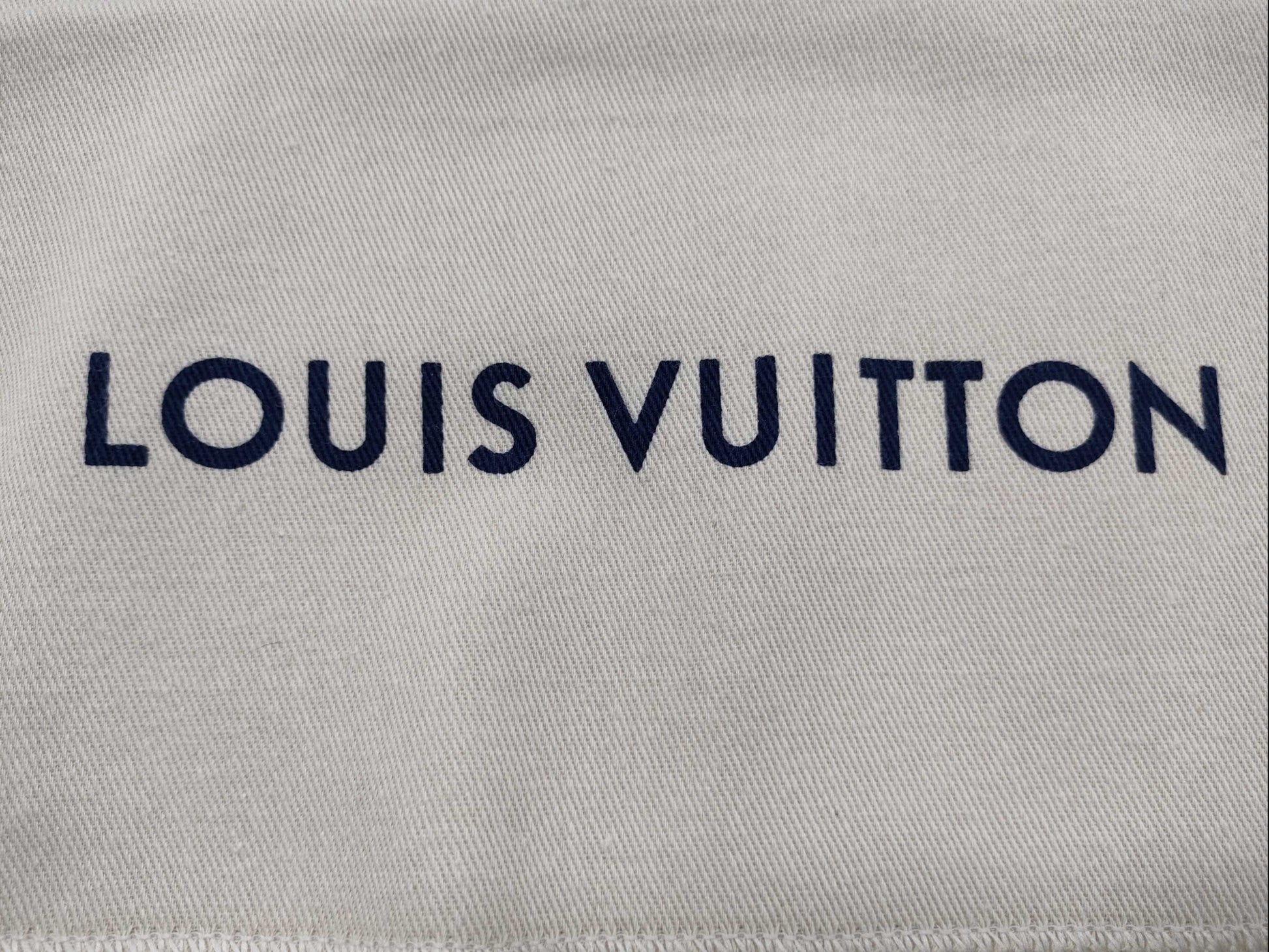 LOUIS VUITTON Current Storage Bag 