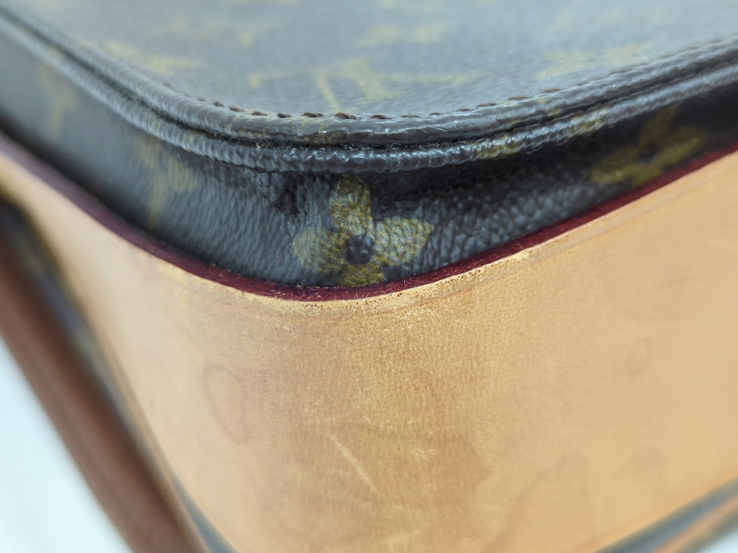 LOUIS VUITTON M51254 Monogram Mini Cartociere Shoulder Bag