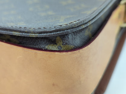 LOUIS VUITTON M51254 Monogram Mini Cartociere Shoulder Bag