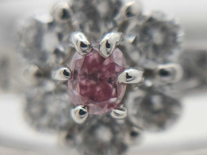 PD0.065ct FD0.50ct PT900 7.7g Ring 