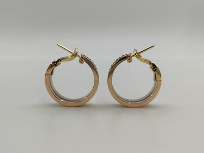 BOUCHERON Cattle Classic 750 16.8g Earrings 
