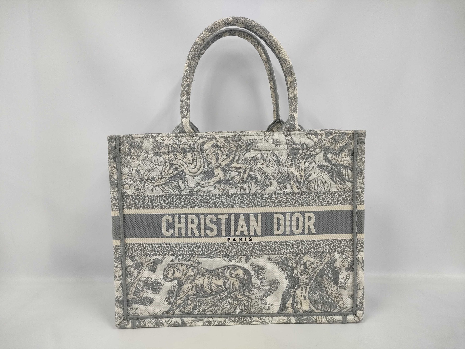 Dior Book Tote Bag