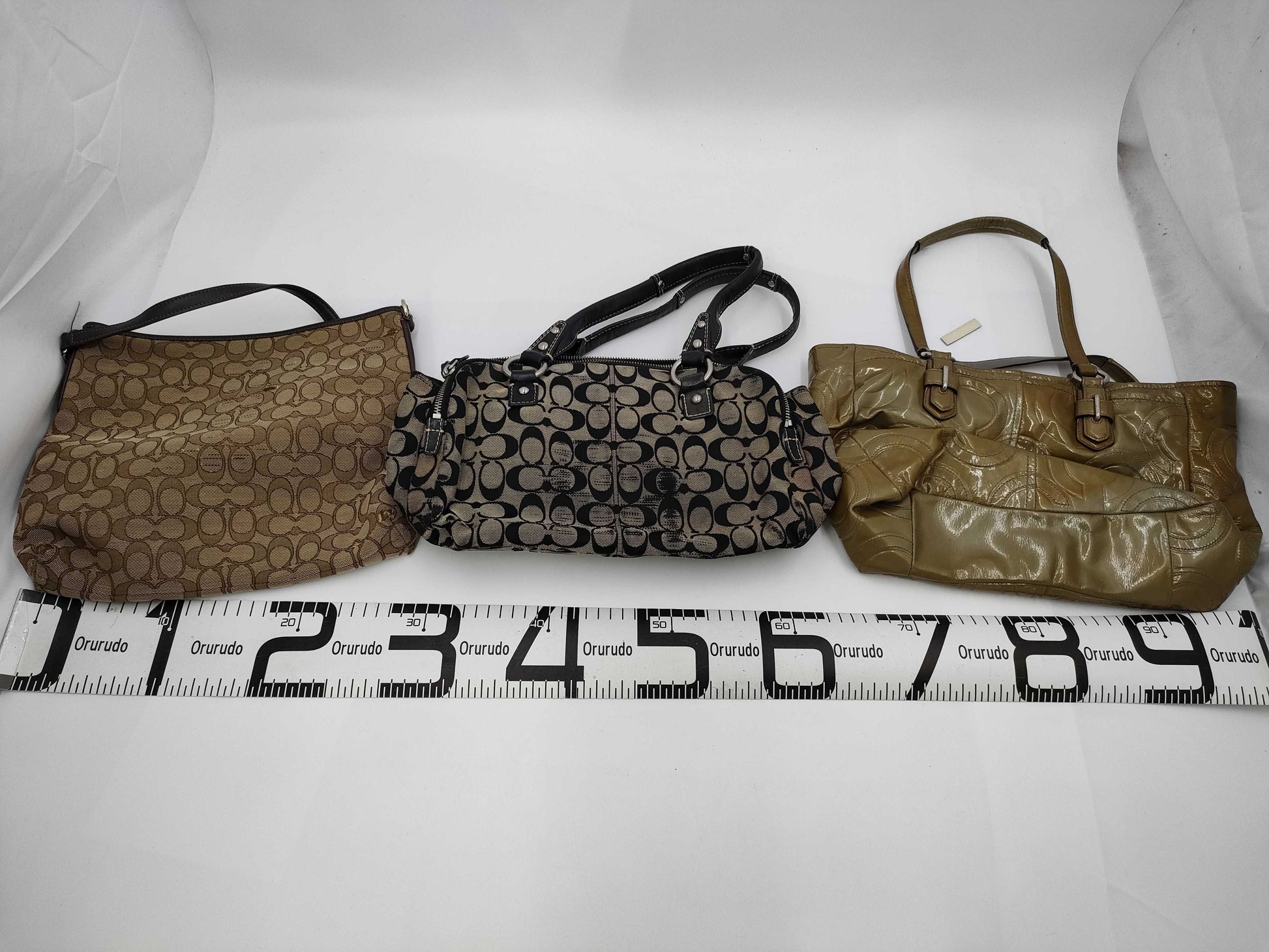 COACH 3-piece bag set