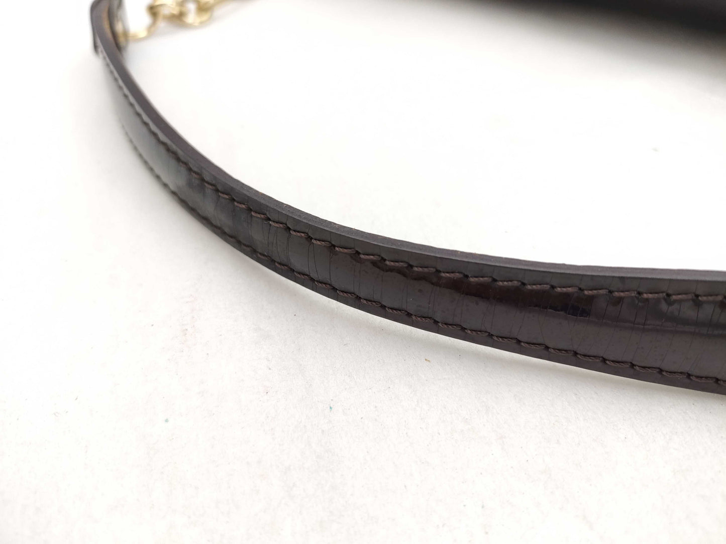 LOUIS VUITTON Verni Louis Vuitton Handbag Handbag