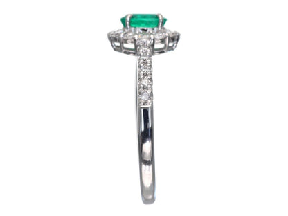 E0.47ct D0.34ct Pt900 3.6g Ring 