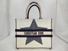 Christian Louboutin Christian Dior Book Tote Medium Canvas/White Tote Bag