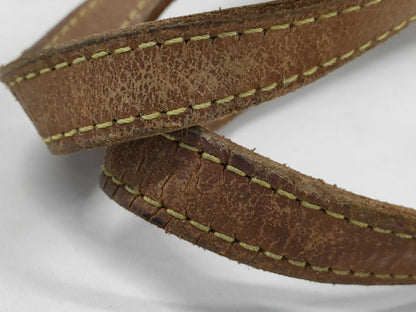 LOUIS VUITTON Louis Vuitton Bucket PM Handbag Tote Bag