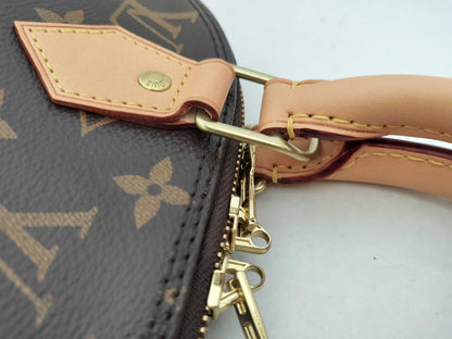 LOUIS VUITTON Monogram Louis Vuitton Alma BB Handbag