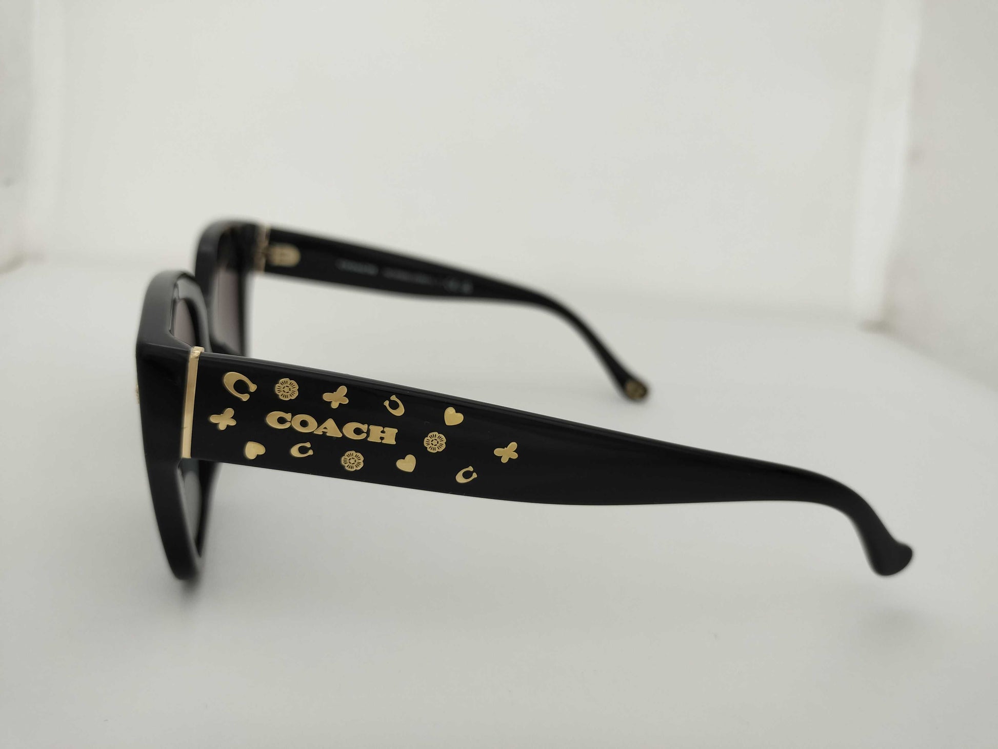 COACH Sunglasses Sunglasses