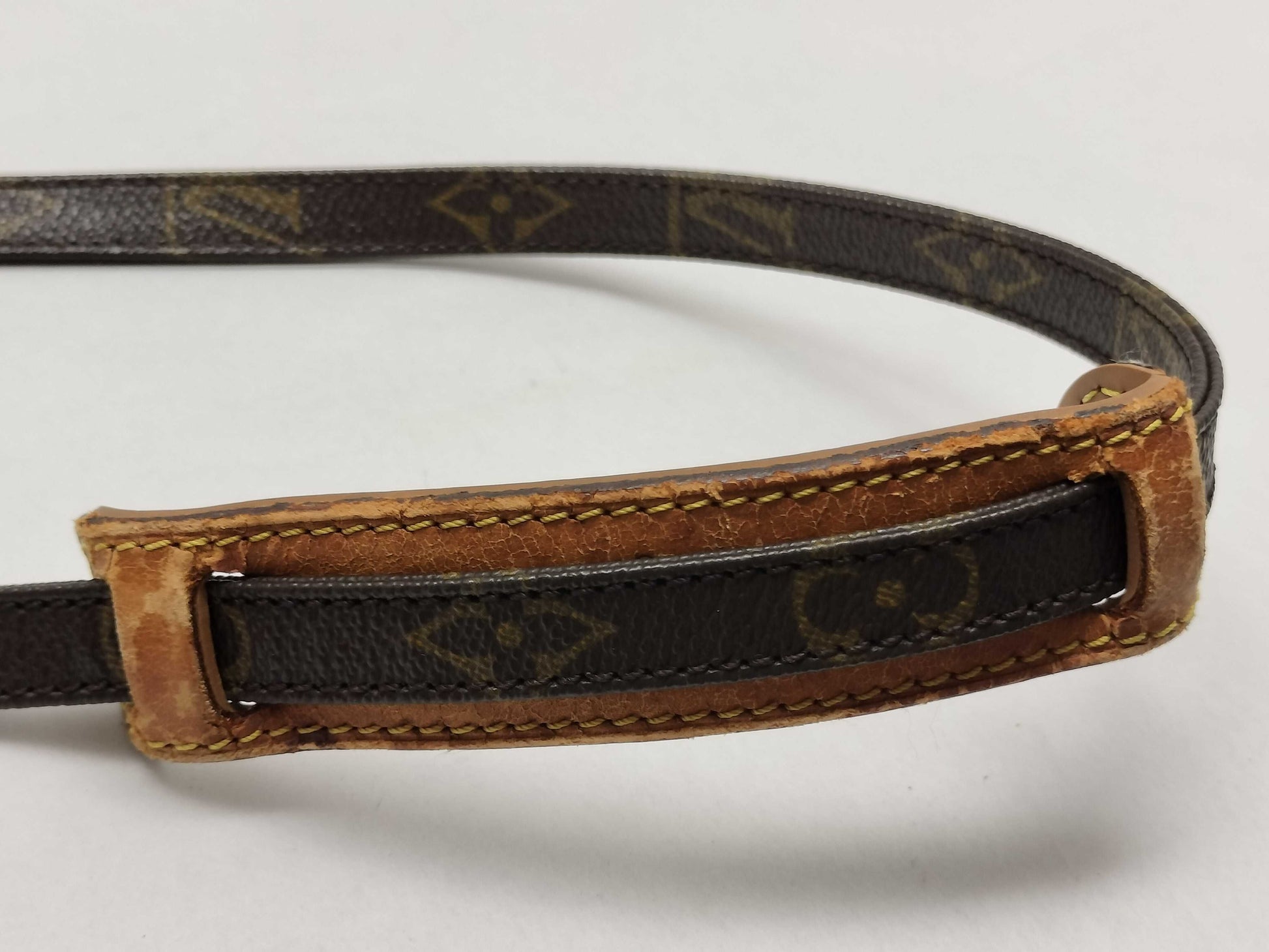 LOUIS VUITTON Monogram Mini Amazon M45238 TH8903 Shoulder Bag