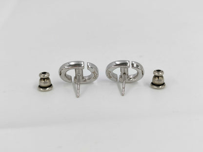 Dior Earrings Earrings