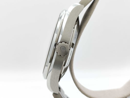 OMEGA Seamaster 231.10.42.21.01.006 88979383 Automatic Men's Watch