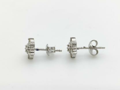 D0.15ct D0.15ct PT900 1.9g Earrings 