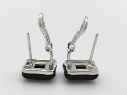 Onyx D0.50ct PT900 8.5g Earrings 