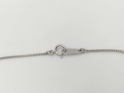 D1.01ct PT850 6.3g Necklace 