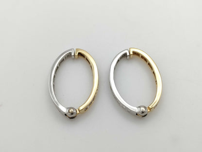 D0.50/0.50ct K18/PT950 5.4g Earrings 
