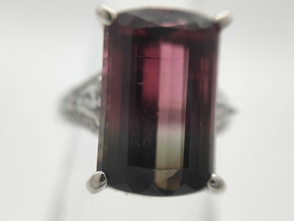 Bicolor Tourmaline 8.70ct D0.52ct PT900 11.4g Ring 