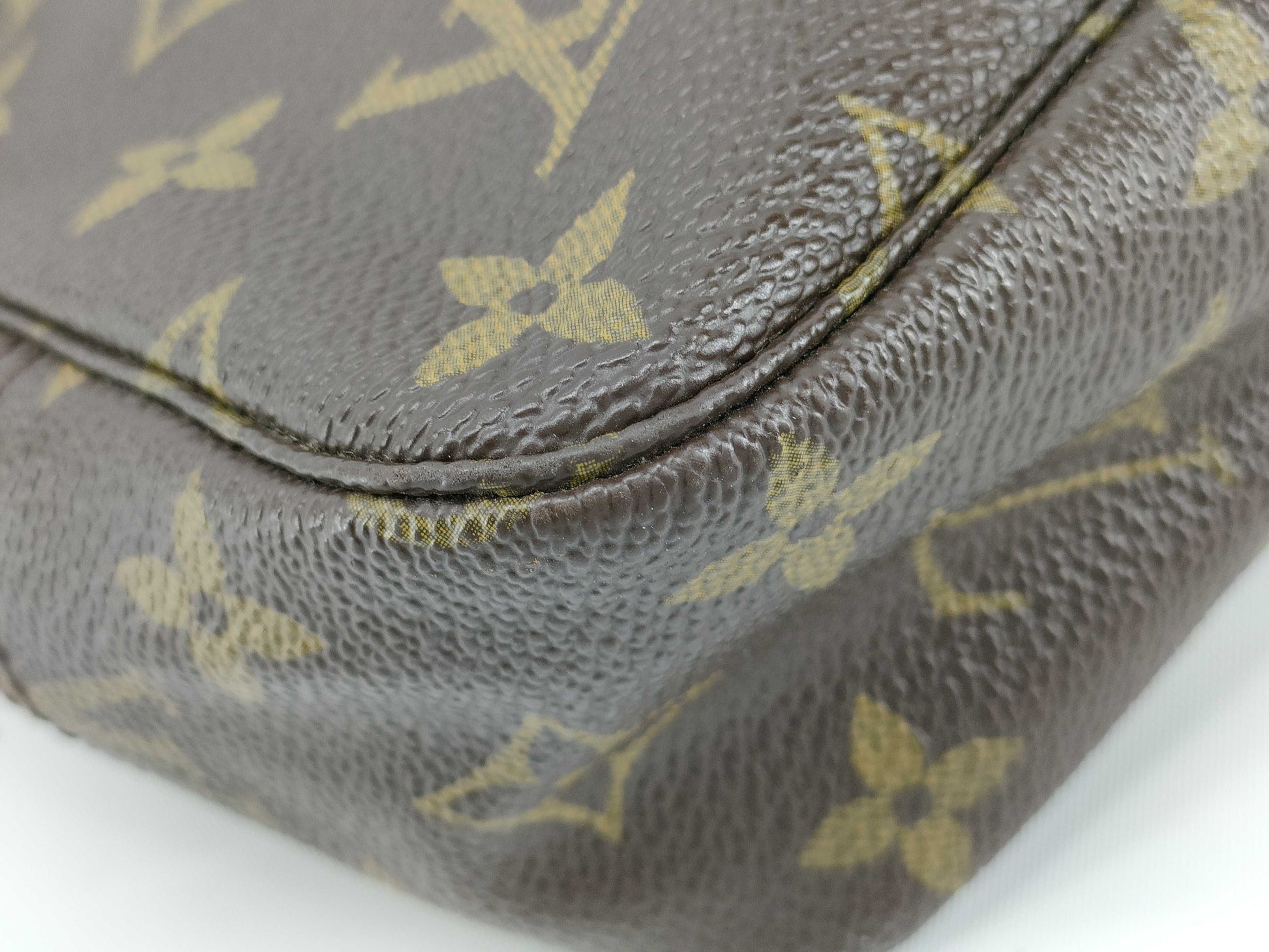 LOUIS VUITTON Monogram True Toilet Monogram Pouch