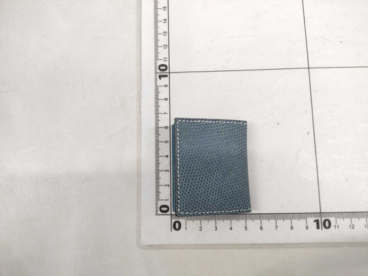 HERMES Hermes Picture Case Lizard Other Accessories