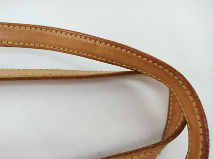LOUIS VUITTON Monogram Bucket PM Tote Bag