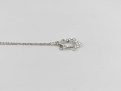 Tiffany & Co. Tiffany David Necklace Ag925 2.4g Necklace