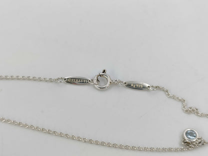 Tiffany & Co. Tiffany By the Yard Necklace AG925 1.8g Necklace