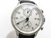 IWC IW390216 3955231 Automatic Men's Watch