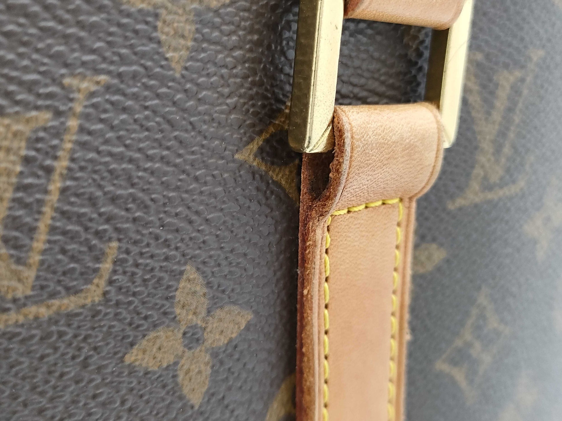 LOUIS VUITTON Louis Vuitton Luco Tote Bag