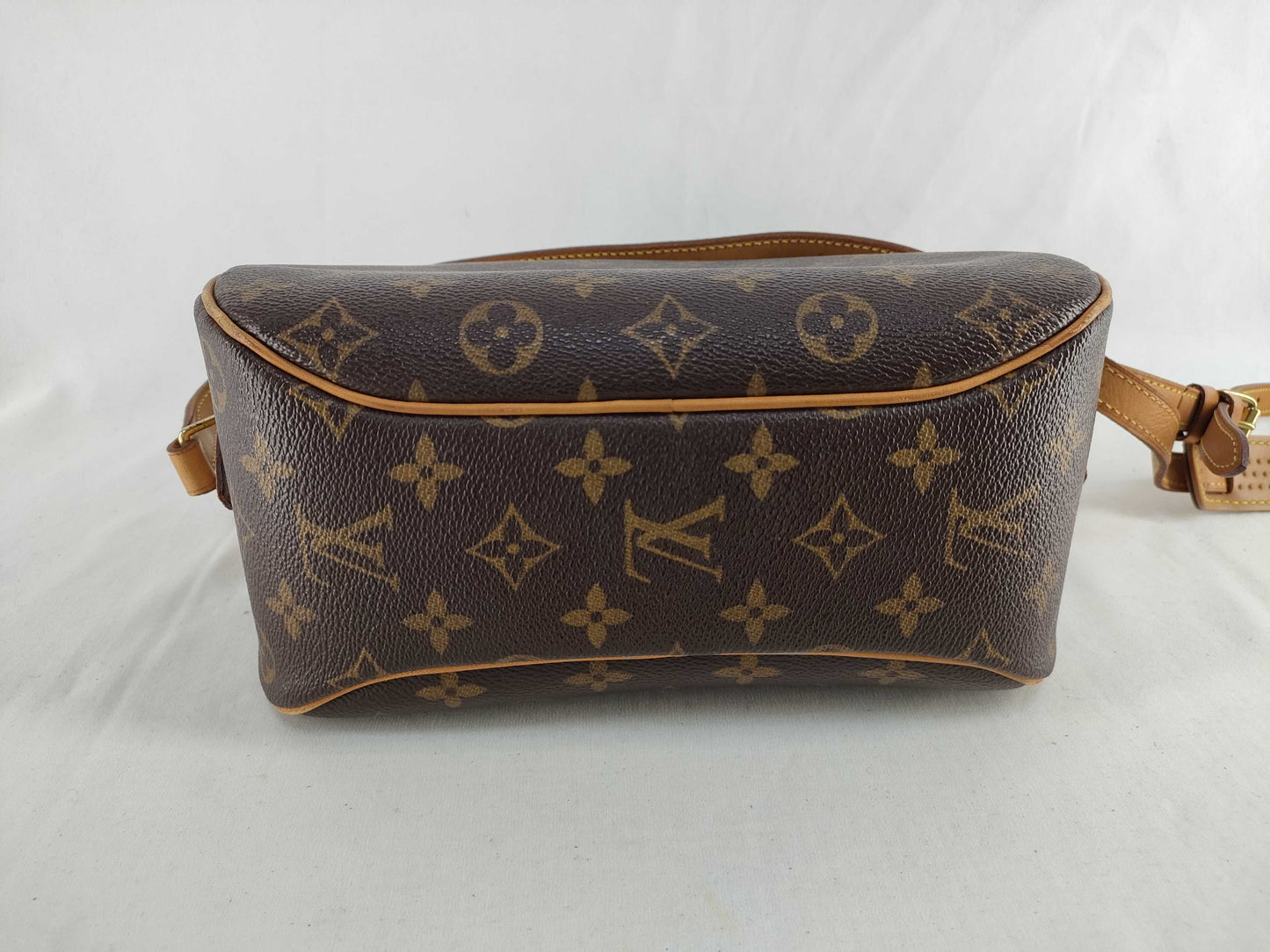 LOUIS VUITTON Monogram LV Monogram Blower M51221/BA0073 Shoulder Bag