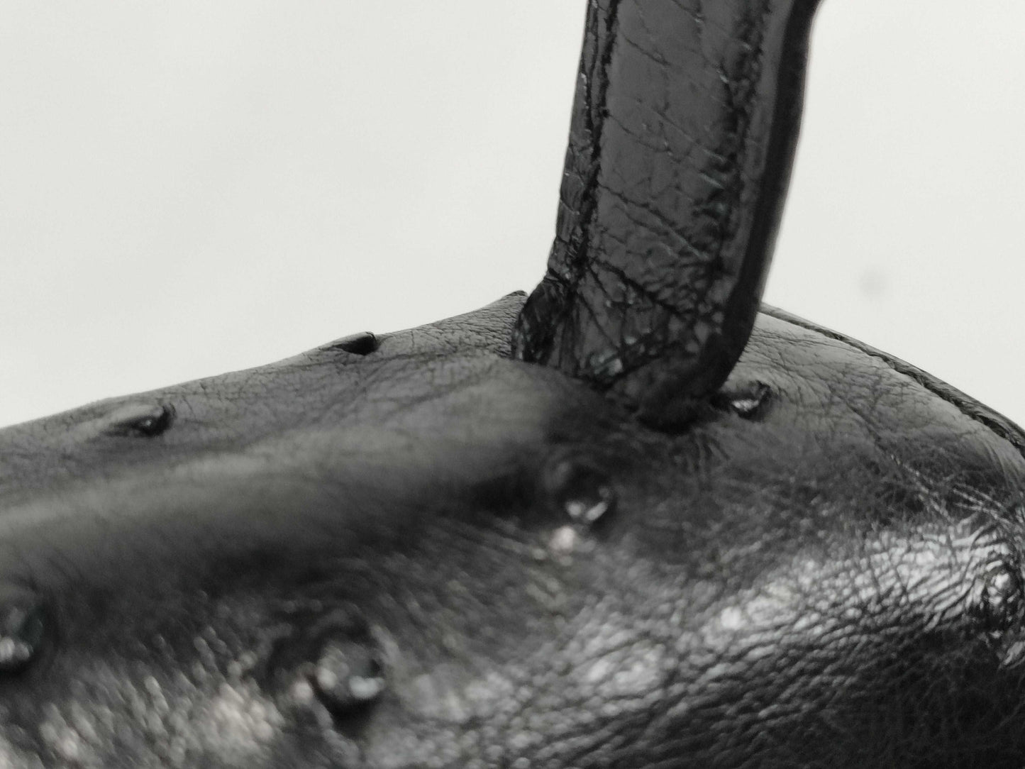 CELINE Triomphe Ostrich Bag