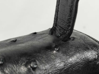 CELINE Triomphe Ostrich Bag