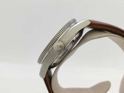 OMEGA Seamaster 233.32.41.21.01.002 87321373 Automatic Men's Watch