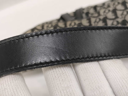 Dior Trotter Saddle Bag Handbag