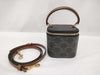CELINE Triomphe Mini Vanity Shoulder Bag with Strap