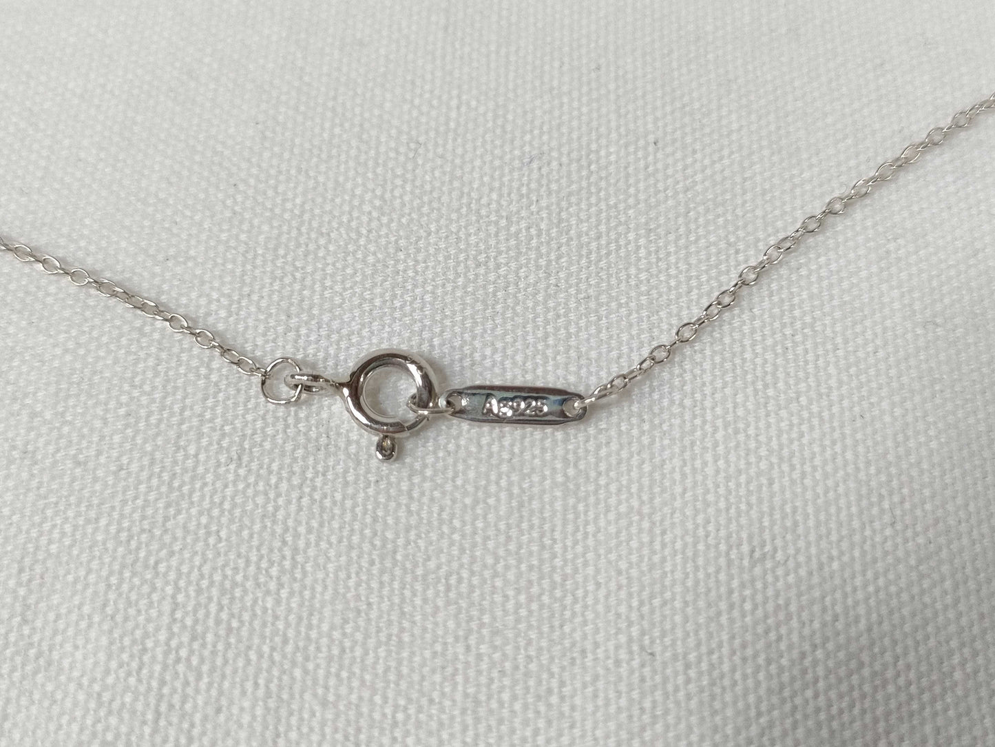 Tiffany & Co. Interlocking Circle Necklace 925 3.7g Necklace