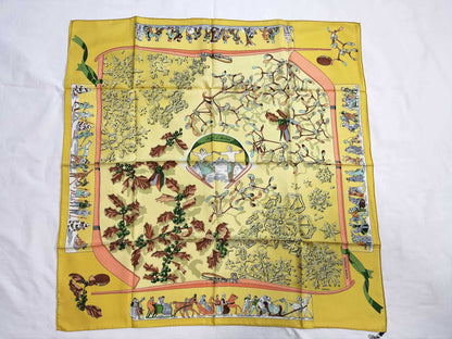 HERMES Carre Other Scarves Hermes Scarves