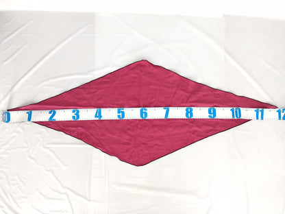 HERMES Carre Hermes Triangle Scarf Scarf