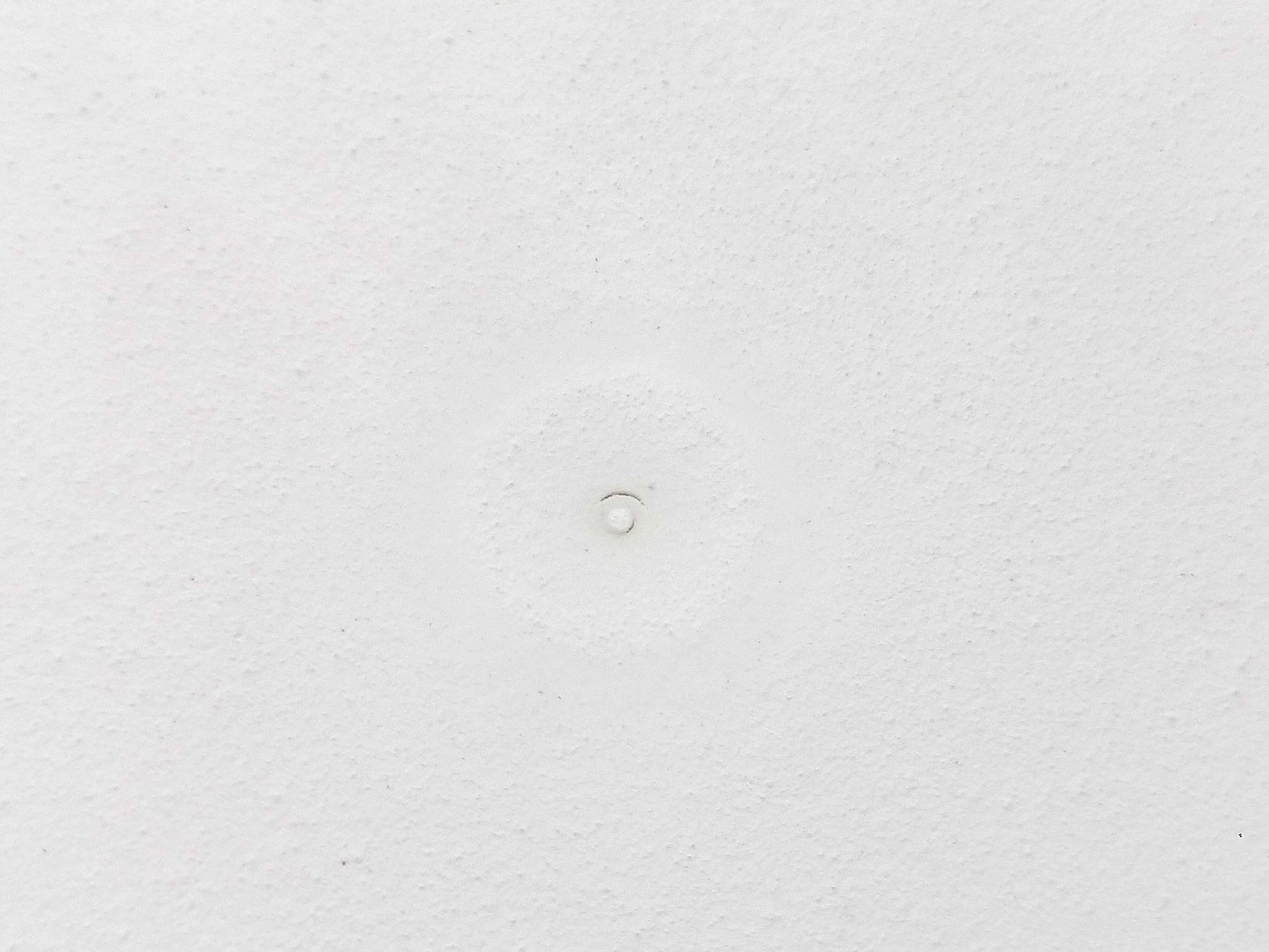 CHANEL Camellia Ceramic Aroma Stone Other Accessories